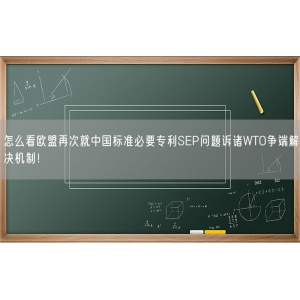 怎么看欧盟再次就中国标准必要专利SEP问题诉诸WTO争端解决机制！